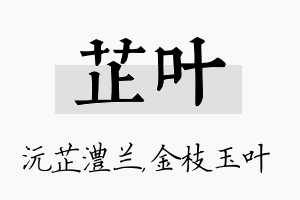 芷叶名字的寓意及含义