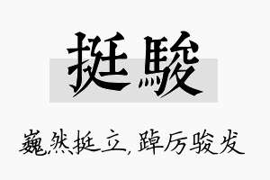 挺骏名字的寓意及含义