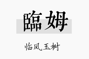 临姆名字的寓意及含义