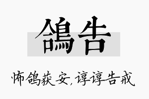 鸽告名字的寓意及含义