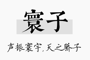 寰子名字的寓意及含义