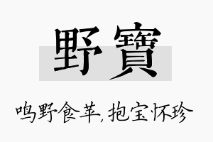 野宝名字的寓意及含义