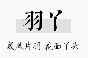 羽丫名字的寓意及含义