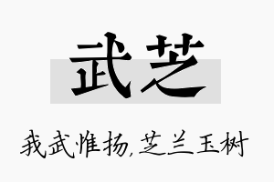 武芝名字的寓意及含义