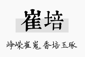 崔培名字的寓意及含义