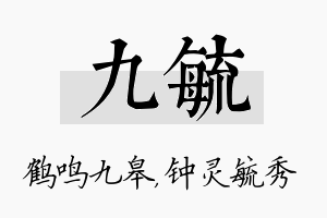 九毓名字的寓意及含义