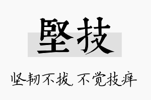 坚技名字的寓意及含义