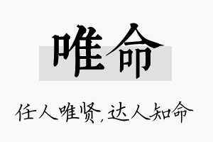 唯命名字的寓意及含义