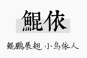 鲲依名字的寓意及含义