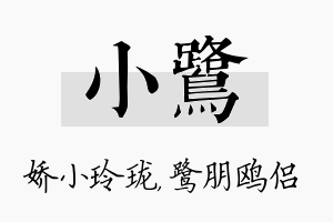 小鹭名字的寓意及含义