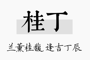 桂丁名字的寓意及含义