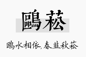 鸥菘名字的寓意及含义