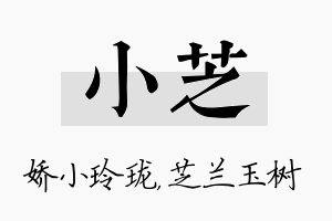 小芝名字的寓意及含义