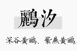 鹂汐名字的寓意及含义