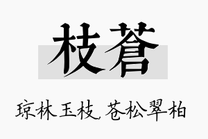 枝苍名字的寓意及含义