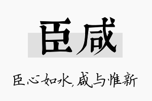 臣咸名字的寓意及含义