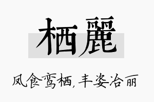 栖丽名字的寓意及含义