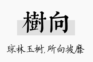 树向名字的寓意及含义