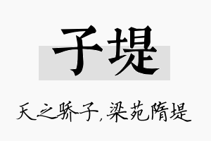 子堤名字的寓意及含义