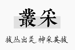 丛采名字的寓意及含义