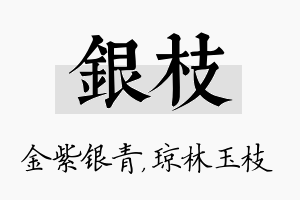 银枝名字的寓意及含义