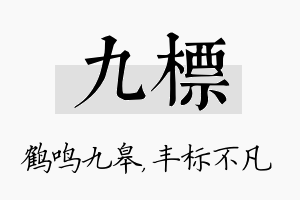 九标名字的寓意及含义