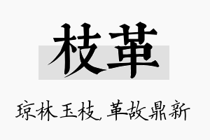 枝革名字的寓意及含义