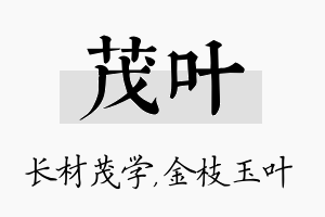 茂叶名字的寓意及含义