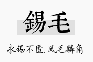 锡毛名字的寓意及含义