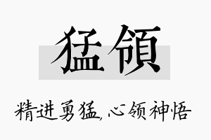 猛领名字的寓意及含义