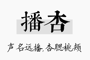 播杏名字的寓意及含义