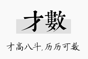 才数名字的寓意及含义