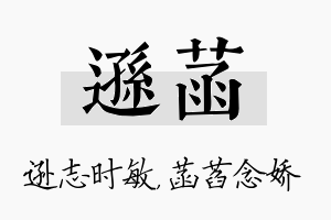 逊菡名字的寓意及含义