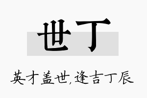 世丁名字的寓意及含义