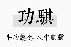 功骐名字的寓意及含义