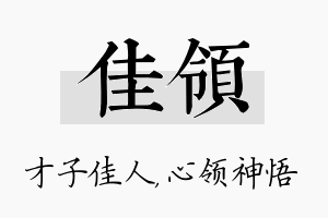 佳领名字的寓意及含义