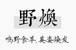 野焕名字的寓意及含义