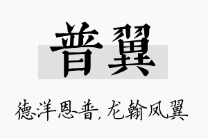 普翼名字的寓意及含义