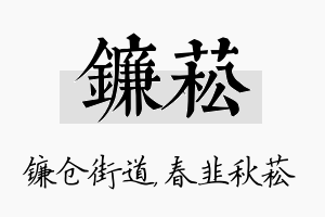 镰菘名字的寓意及含义