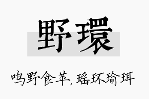 野环名字的寓意及含义