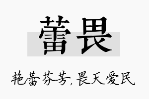 蕾畏名字的寓意及含义