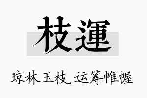 枝运名字的寓意及含义