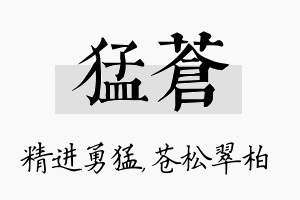 猛苍名字的寓意及含义