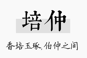 培仲名字的寓意及含义