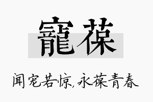 宠葆名字的寓意及含义