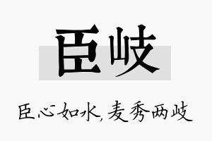 臣岐名字的寓意及含义