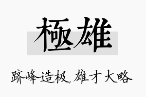 极雄名字的寓意及含义