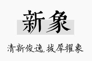 新象名字的寓意及含义