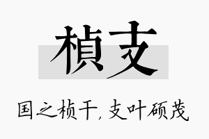 桢支名字的寓意及含义