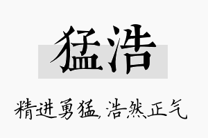 猛浩名字的寓意及含义